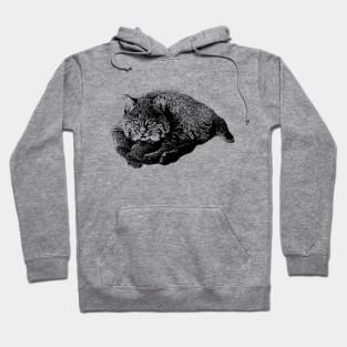 Bobcat cub Hoodie